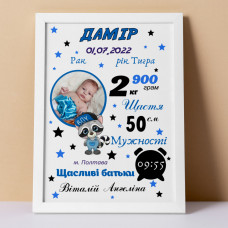 Дитяча метрика з Єнотом та фотографією дитини